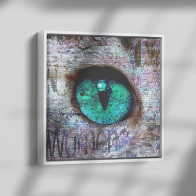 Cats Eye | Framed Canvas Print